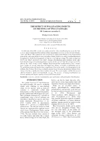 THE EFFECT of POLLINATING INSECTS on FRUITING of TWO CULTIVARS of Lonicera Caerulea L