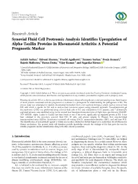 Synovial Fluid Cell Proteomic Analysis Identifies Upregulation of Alpha-Taxilin Proteins in Rheumatoid Arthritis: a Potential Prognostic Marker