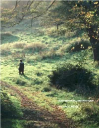 1998 Annual Report [PDF]
