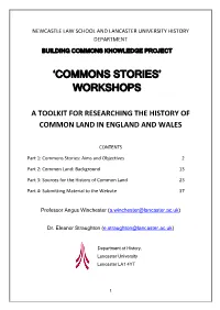 Commons Stories’ Workshops