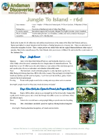 Day 1 Jungle Resort (-,-,D,)