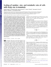 Scaling of Number, Size, and Metabolic Rate of Cells with Body Size in Mammals