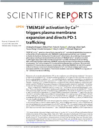 TMEM16F Activation by Ca2+ Triggers Plasma Membrane Expansion And