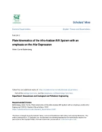 Plate Kinematics of the Afro-Arabian Rift System with an Emphasis on the Afar Depression