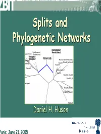 Splits and Phylogenetic Networks