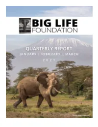 Blf Quarterly Report