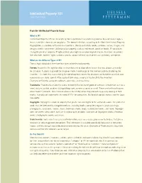 Intellectual Property 101 Just the Faqs