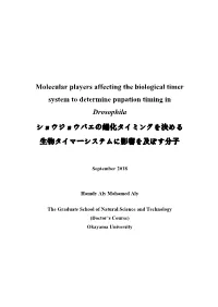 Molecular Players Affecting the Biological Timer System to Determine Pupation Timing in Drosophila