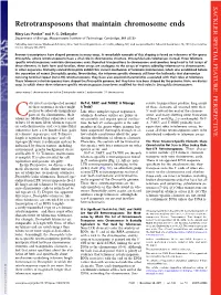 Retrotransposons That Maintain Chromosome Ends