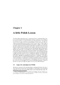 A Little Polish Lesson