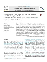 A Recent Evolutionary Origin of a Bacterial Small RNA That Controls