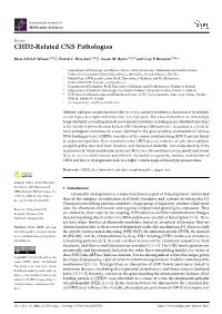 CHD2-Related CNS Pathologies