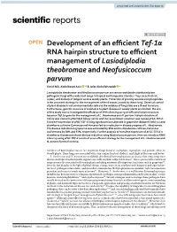 Development of an Efficient Tef-1Α RNA Hairpin Structure to Efficient