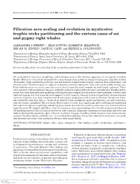 Filtration Area Scaling and Evolution in Mysticetes: Trophic Niche Partitioning and the Curious Cases of Sei and Pygmy Right Whales