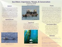 Sea Otters: Importance, Threats, & Conservation