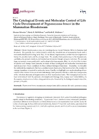 The Cytological Events and Molecular Control of Life Cycle Development of Trypanosoma Brucei in the Mammalian Bloodstream