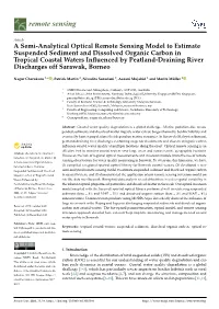 A Semi-Analytical Optical Remote Sensing Model to Estimate