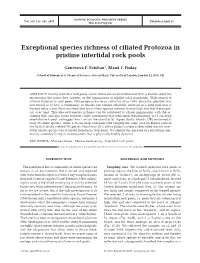 Exceptional Species Richness of Ciliated Protozoa in Pristine Intertidal Rock Pools