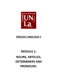 MODULE 1: NOUNS, ARTICLES, DETERMINERS and PRONOUNS. Explanations • Countable Nouns a Countable Noun Has a Singular and a Plural Form