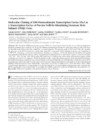 Molecular Cloning of LIM Homeodomain Transcription Factor