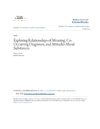 Exploring Relationships of Meaning, Co-Occurring Diagnoses, and Attitudes About