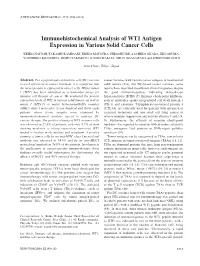 Immunohistochemical Analysis of WT1 Antigen Expression in Various Solid Cancer Cells