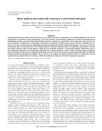 Motor Patterns Associated with Crawling in a Soft-Bodied Arthropod