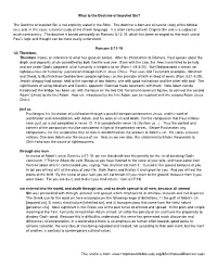 The Doctrine of Imputed Sin Is Not Explicitly Stated in the Bible. The