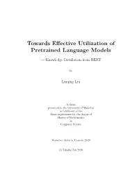 Towards Effective Utilization of Pre-Trained Language Models