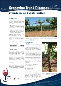 Grapevine Trunk Diseases Symptoms and Distribution