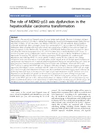 The Role of MDM2–P53 Axis Dysfunction in the Hepatocellular