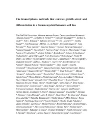 The Transcriptional Network That Controls Growth Arrest and Differentiation in a Human Myeloid Leukemia Cell Line