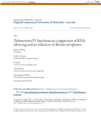 Tritimovirus P1 Functions As a Suppressor of RNA Silencing and an Enhancer of Disease Symptoms Brock A