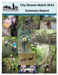 City Stream Watch Summary Report
