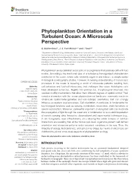 Phytoplankton Orientation in a Turbulent Ocean: a Microscale Perspective