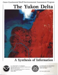 A Synthesis of Information I