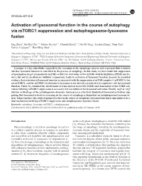 Activation of Lysosomal Function in the Course of Autophagy Via Mtorc1 Suppression and Autophagosome-Lysosome Fusion