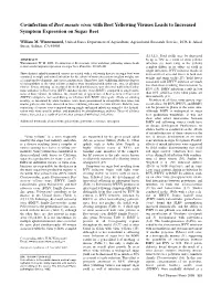 Co-Infection of Beet Mosaic Virus with Beet Yellowing Viruses Leads to Increased Symptom Expression on Sugar Beet