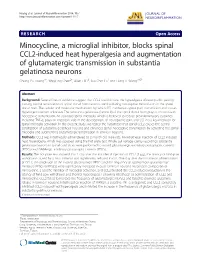 Minocycline, a Microglial Inhibitor, Blocks Spinal CCL2-Induced Heat