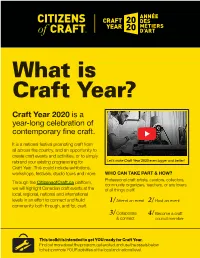 What Is Craft Year?