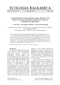 Age Determination in Some Ophisops Elegans Mènètriès 1832 (Sauria: Lacertidae) Populations Living in the Vicinity of Çanakkale and Akşehir-Eber