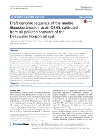 Draft Genome Sequence of the Marine Rhodobacteraceae Strain O3.65
