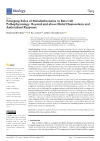 Emerging Roles of Metallothioneins in Beta Cell Pathophysiology: Beyond and Above Metal Homeostasis and Antioxidant Response
