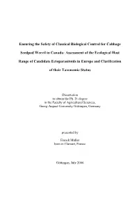 Ensuring the Safety of Classical Biological Control for Cabbage