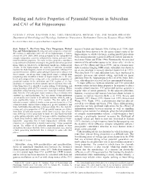 Resting and Active Properties of Pyramidal Neurons in Subiculum and CA1 of Rat Hippocampus