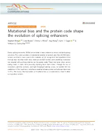 Mutational Bias and the Protein Code Shape the Evolution of Splicing Enhancers