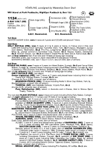 YEARLING, Consigned by Watership Down Stud