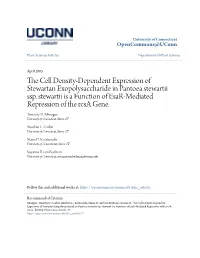 The Cell Density-Dependent Expression of Stewartan Exopolysaccharide in Pantoea Stewartii Ssp