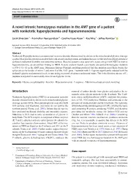 A Novel Intronic Homozygous Mutation in the AMT Gene of a Patient with Nonketotic Hyperglycinemia and Hyperammonemia
