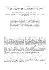 From the Lower Carboniferous of Belgium, and International Correlation Using Taphrognathids